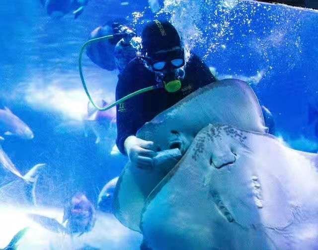 南京海底世界门票免票 南京海底世界请你们全班免费玩啦(25)