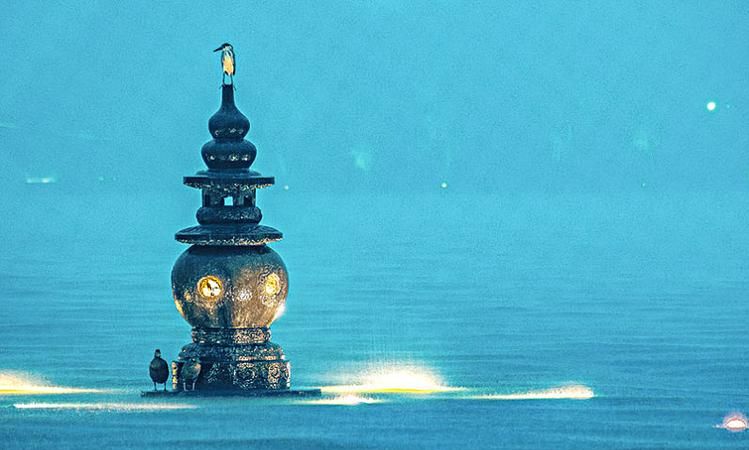 三潭印月怎么去