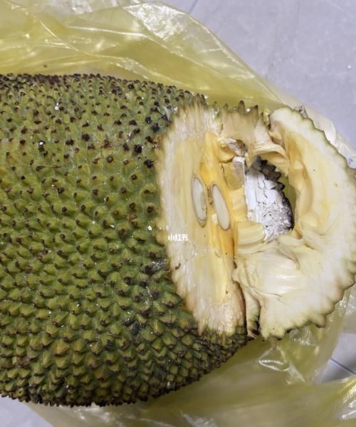 菠萝蜜嫩的能放熟吗