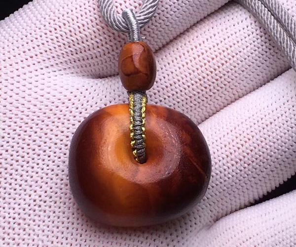 琥珀的形成过程和条件(琥珀是怎么形成的)(6)