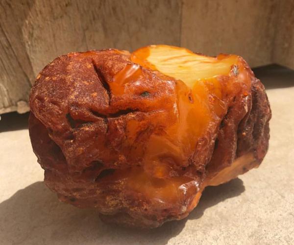 琥珀的形成过程和条件(琥珀是怎么形成的)(4)