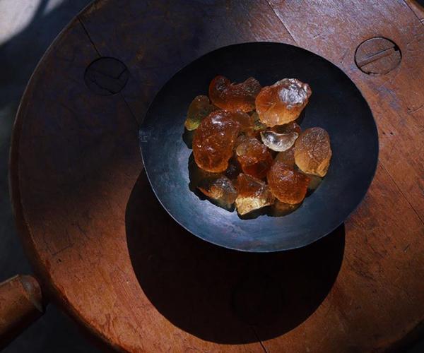 琥珀的形成过程和条件(琥珀是怎么形成的)(3)