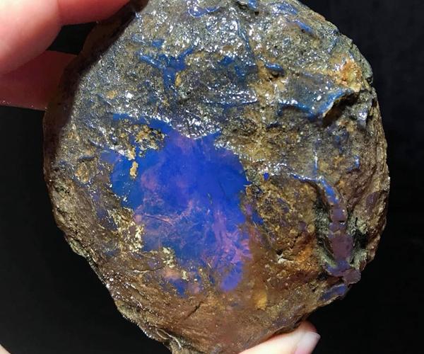 琥珀的形成过程和条件(琥珀是怎么形成的)(9)