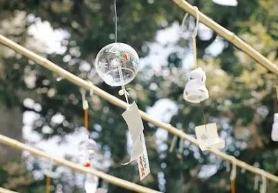 ​鱿鱼的营养价值和功效！鱿鱼的家常做法等知识！