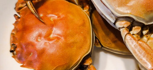 熟螃蟹在冰箱里放几天能吃,大闸蟹蒸熟了能放冰箱冷冻几天吗图1