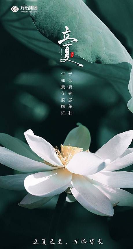 四言绝句立夏祝福