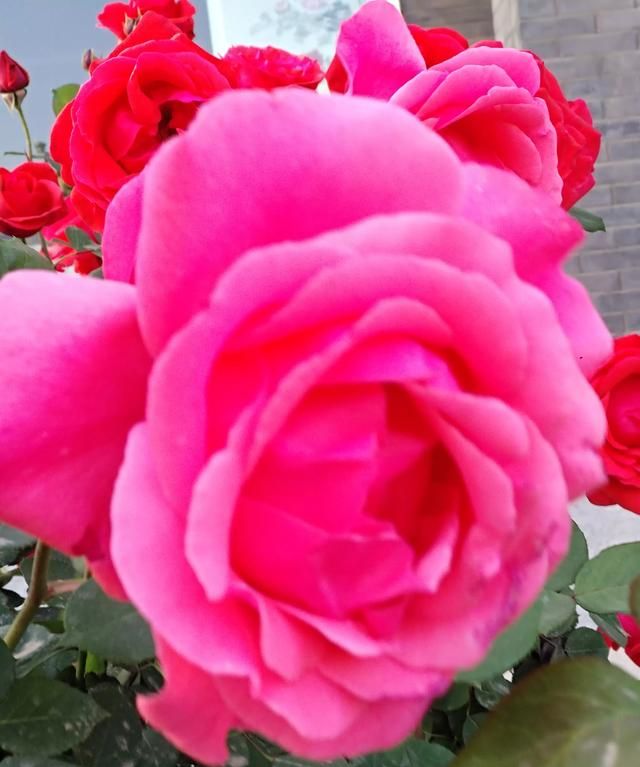 世界观是，好的人生观，世界观，价值观是什么？图3