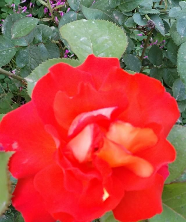 世界观是，好的人生观，世界观，价值观是什么？图5