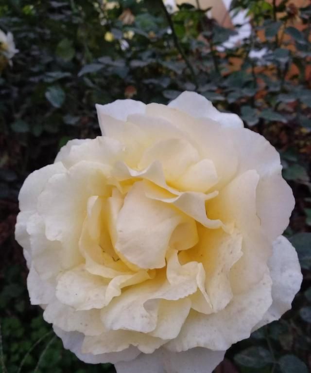 世界观是，好的人生观，世界观，价值观是什么？图4