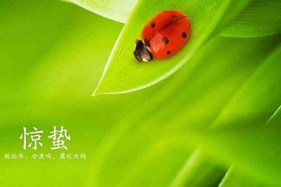 ​惊蛰节气的古诗词大全