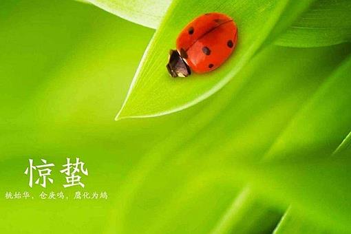 惊蛰节气的古诗词大全