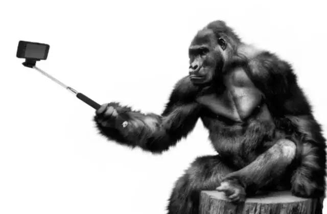 从风水上说微信头像好的有哪些（有什么微信头像能旺运气）(16)