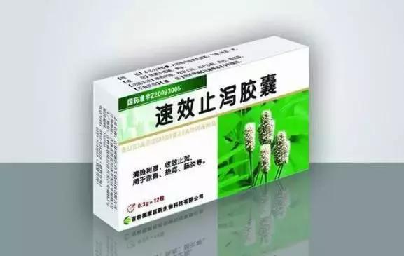 狗狗拉稀怎么办最快的解决方法（狗狗拉稀的7大常见原因及治疗方法）(14)