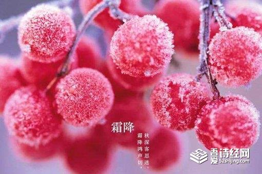 霜降养生注意事项