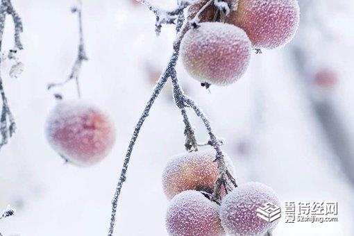 霜降养生注意事项