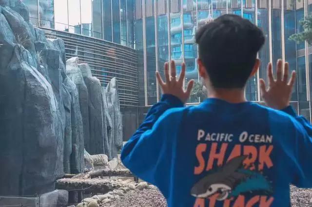 耗资251亿，比迪斯尼大4倍！3大霸屏级度假区，一个比一个惊艳！