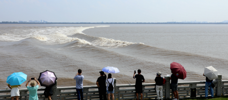 海盐观潮7月最佳时间表