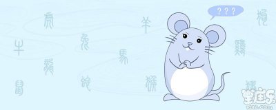 属鼠的人性格是什么样的