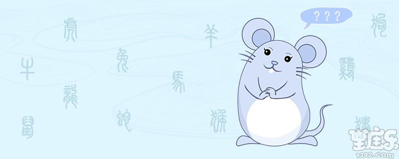 属鼠的人性格是什么样的
