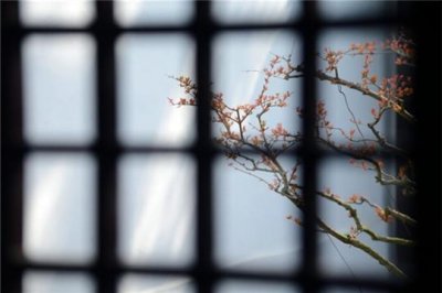 天生就有旺夫命的三大生肖女，娶到就是赚到！