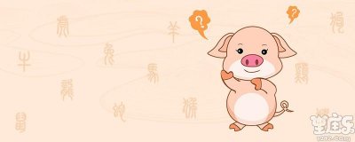 生肖猪是哪一年