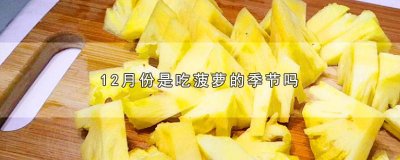 ​几月是吃菠萝的季节 二月份是吃菠萝的季节吗