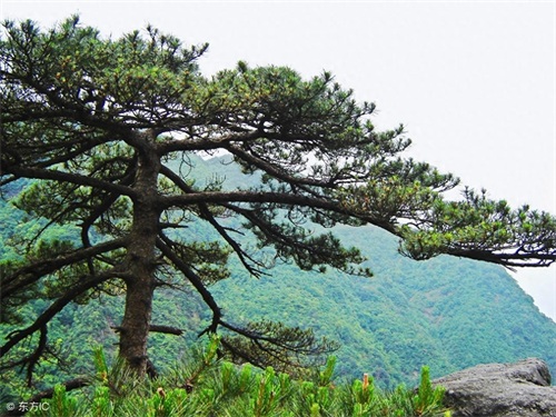 国家5A级景区之江西明月山旅游区