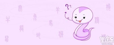 属蛇的女人是什么性格