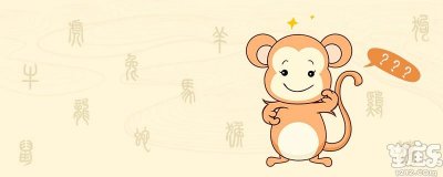 生肖猴有什么特点