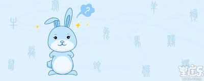 属兔和属蛇相配吗