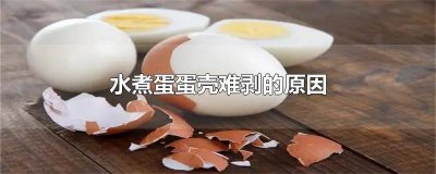 ​水煮蛋蛋壳难剥的原因 水煮蛋蛋壳难剥的原因有哪些