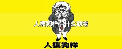 ​人模狗样指什么动物