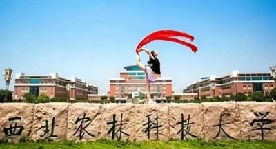 ​高考成绩不高，为了985名头报考西北农林科技大学，到底值不值？