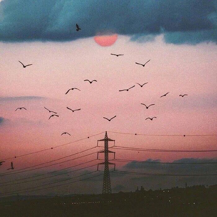 如何温柔礼貌的拒绝别人的告白