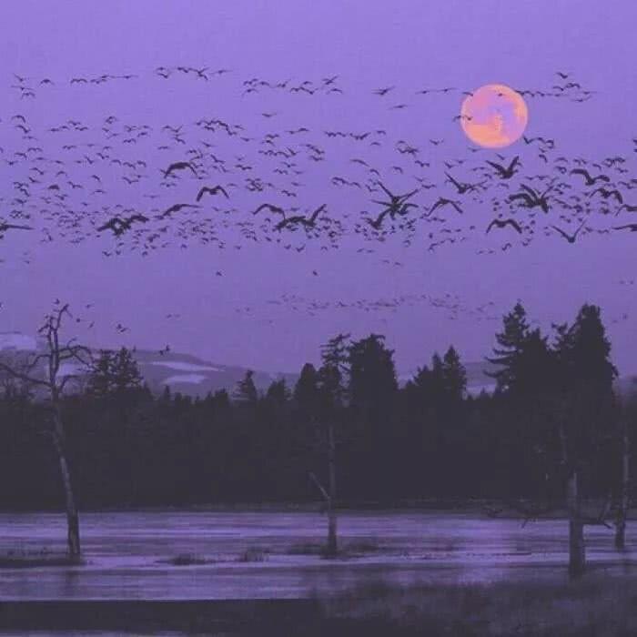 如何温柔礼貌的拒绝别人的告白