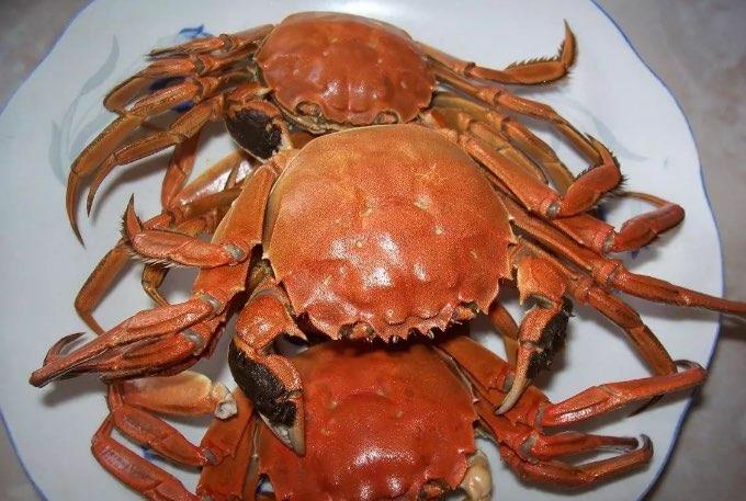 生活医生建议1顿饭吃螃蟹不超过2只 螃蟹食用过多有什么危害  1