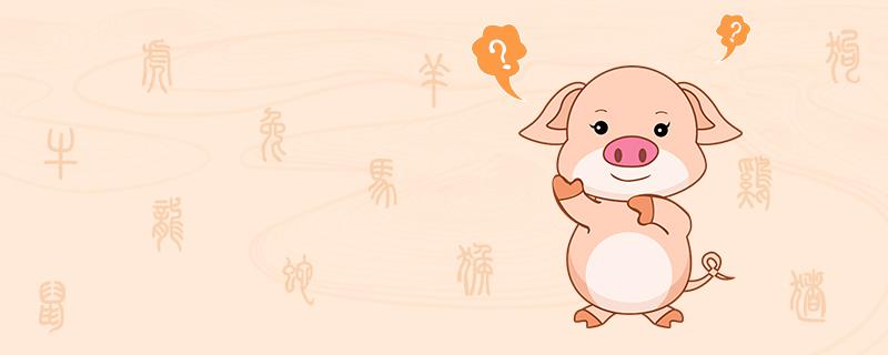 属猪与属狗的能相配吗