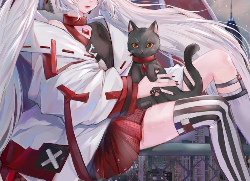 四大生肖面相好得天，到哪都是香饽饽，没钱也能赚到钱，事事顺