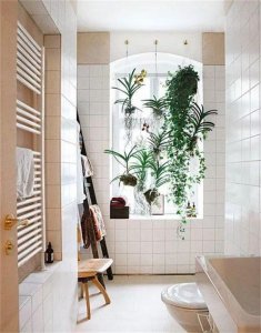 ​厕所门是关着还是开着好