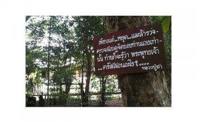 生肖猪：心想事成，如愿以偿，幸福满满，人生如意