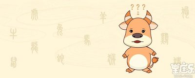 属牛女性格是什么