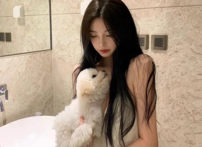 不争不抢，最后总能得到一切的生肖