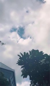 ​古风·治愈系·锁屏壁纸：听闻小姐治家有方，鄙人余生愿闻其详