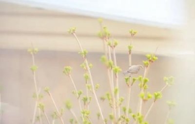 ​社会保障卡的默认密码是多少社会保障卡密码是多少