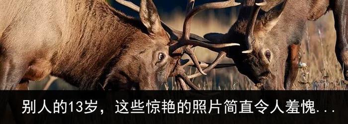 索尼微单A7M3全全全全全面评测!