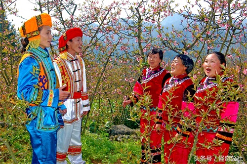 湖北宜昌：榔坪1400万木瓜树花开似红海，3月最是赏花好时光。