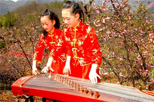 湖北宜昌：榔坪1400万木瓜树花开似红海，3月最是赏花好时光。