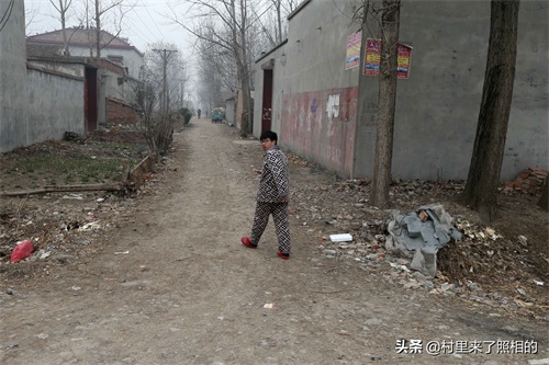 中原乡村的春事