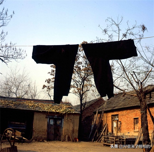 中原乡村的春事