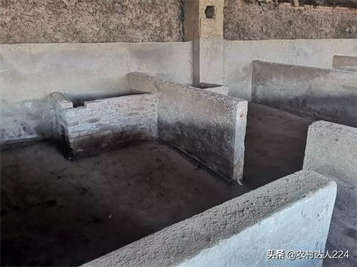 3分钟读懂猪舍的科学建造，了解猪舍建造原理